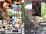 温泉でのセックスは宿に到着前からマ○コから湯気が出るほど興奮が止まらないという事実6人